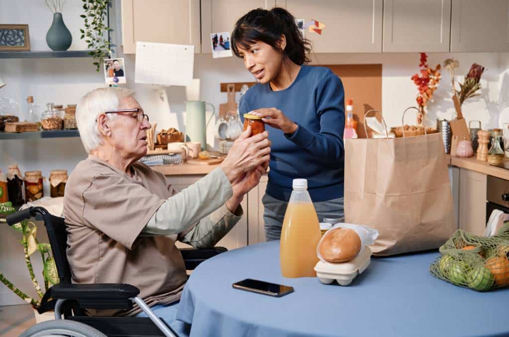 aide domicile auxiliaire de vie assistance seniors maison entretien courses service personnes âgées