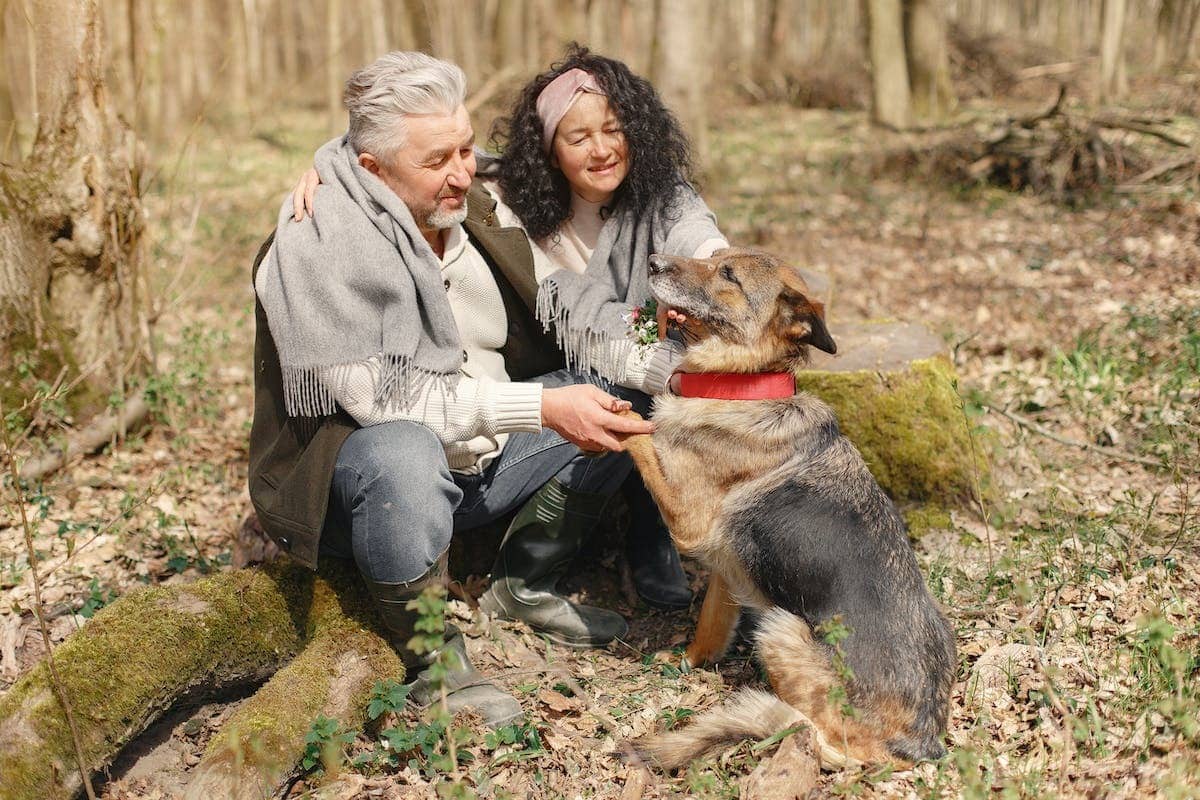 seniors animaux
