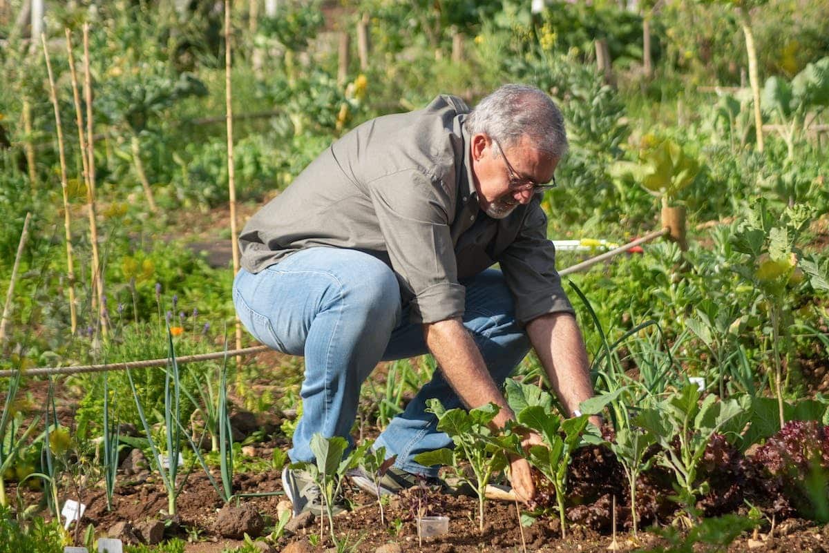 personnes âgées  jardinage